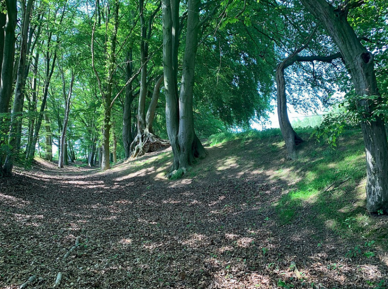 Der Hohlweg beim Hallenbad: Ein schönes Stück Syke