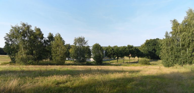 Informationsabend zum Baugebiet am Syker Hallenbad/Hohlweg