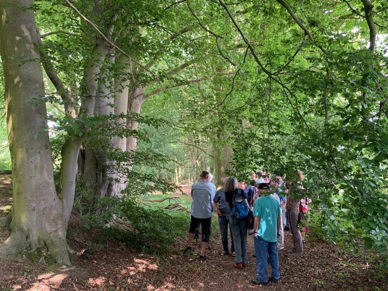 Neues Treffen am Hohlweg beim Hallenbad