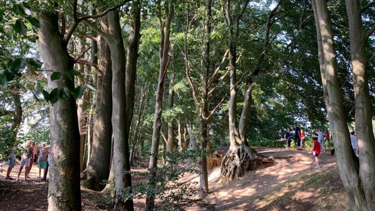 Virtueller Spaziergang: Hohlweg & Hallenbadwiese