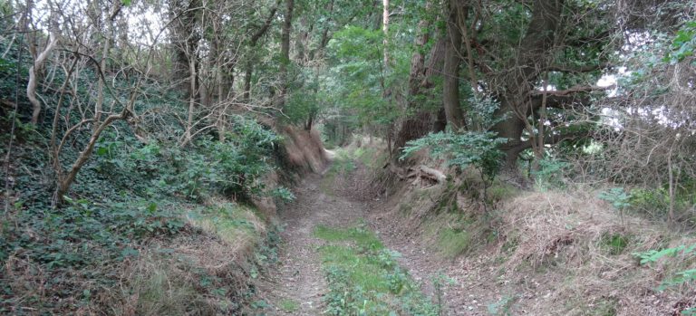 Niedersächsischer Weg statt Volksbegehren