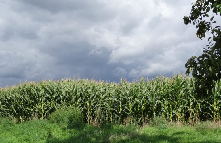 Thema: Landwirtschaft